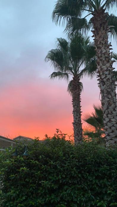 Il Giardino della Torre