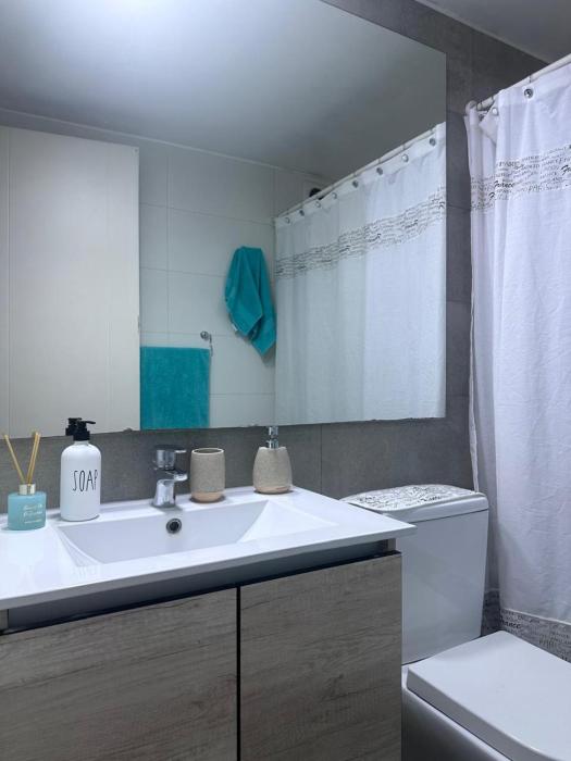 Cómodo Departamento en Santiago