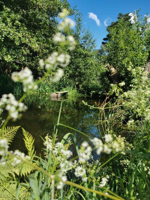 60qm Erdgeschoss Alte Bäckerei