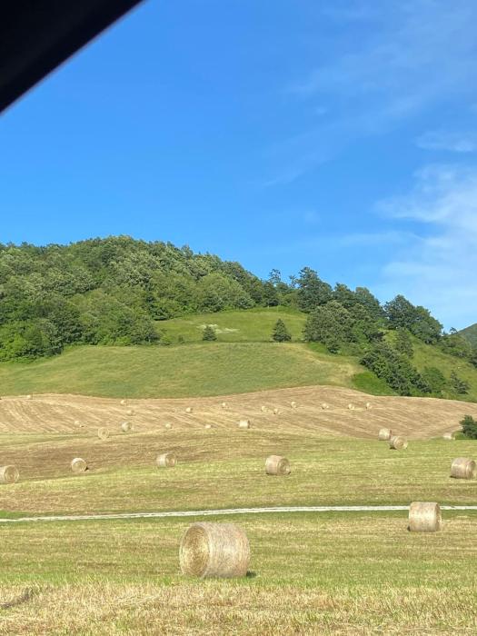 Agriturismo Bordigaie