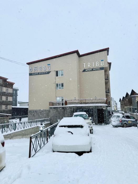 Tribu Apart 101 Bakuriani