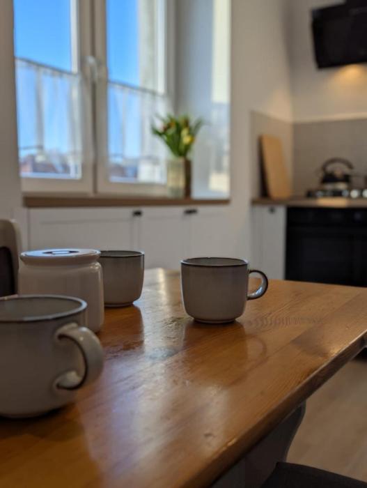 Apartament po Stronie gór - stoki narciarskie, kąpielisko, trasy rowerowe