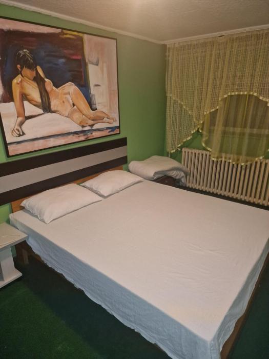 Apartman Petrovaradin