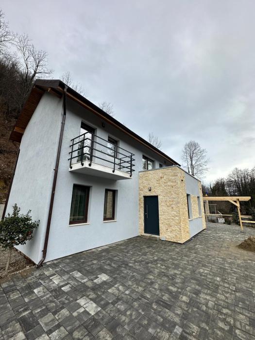 Twin Villa1