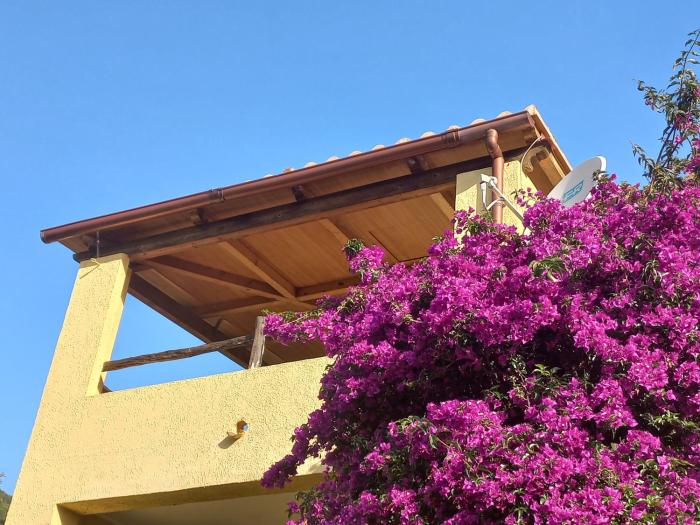 Alessandro&Dinas House