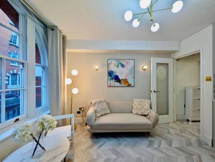 Stunning Flat in Central London