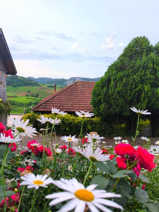 Pousada Borghetto – Charme e Exclusividade no Vale dos Vinhedos