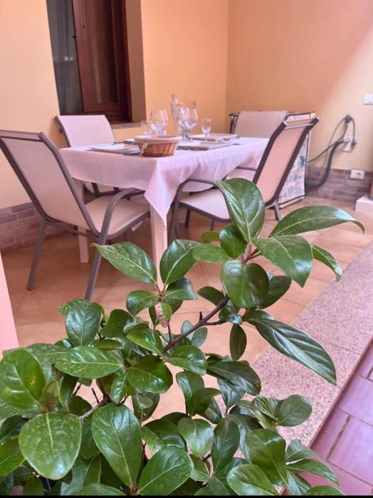 Cozy house with terrace in Pula, 85 m², garden