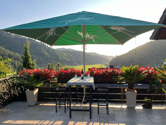 Sonnige Ferienwohnung im Kinzigtal