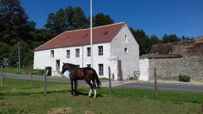 Ground floor apartment in farmhouse