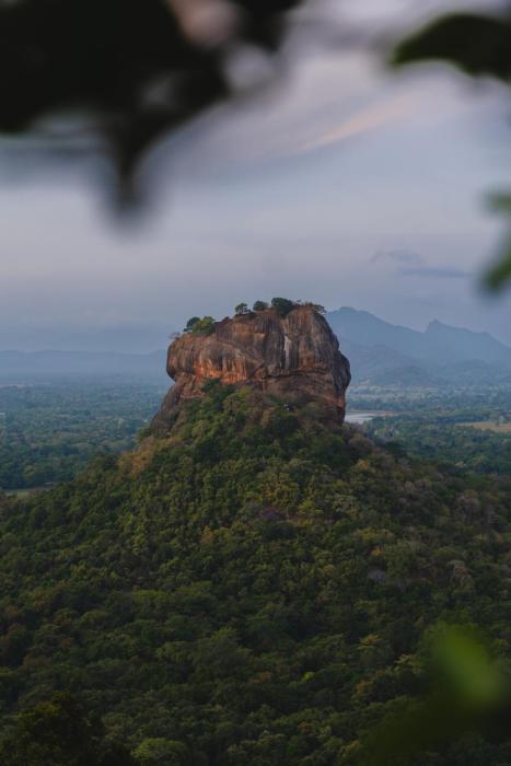 Elephant Trio Sigiriya