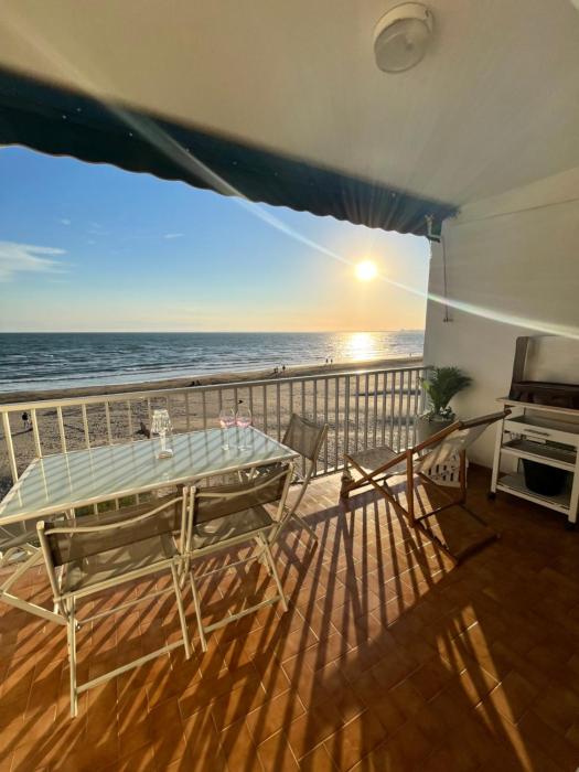 Le Grau du Roi appartement première ligne en face de la mer