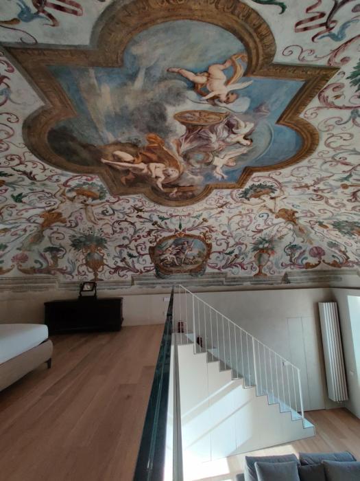 Appartement des Barons - Palais Ansermin - Dimora storica