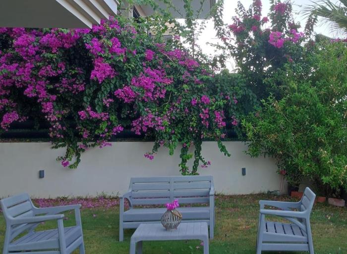 House - Cesme Boyalık