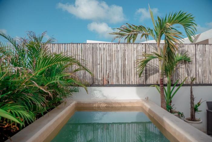 3 BR Jungle Apartment - Private Pool - La Veleta