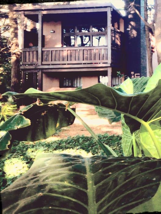 Posta Chimango, Cabañas frente al Golf Los Acantilados