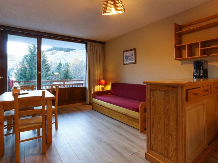 Studio 4 pers, animaux admis, au pied des pistes - FR-1-811-10