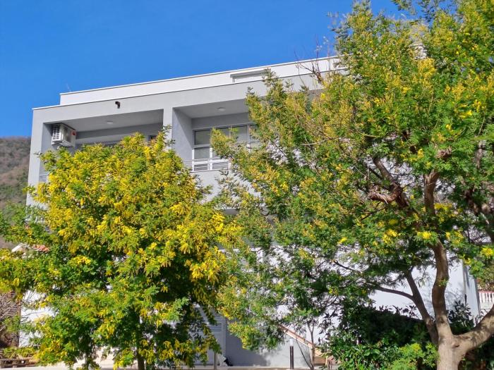 Mimoza Garden Apartments