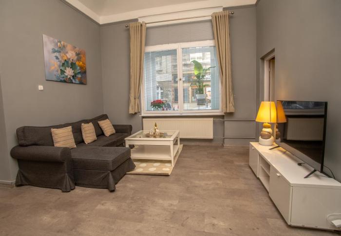 Grand apartment near Dancing House