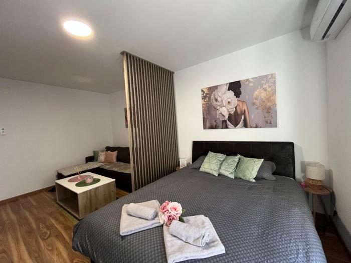 Vlasic Apartmani HANA