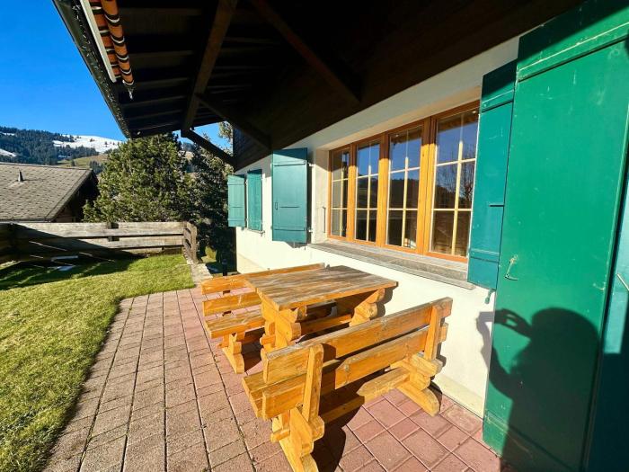 Ski-In Chalet in top location