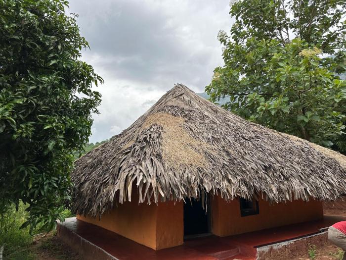 Jungle Farm Mud House