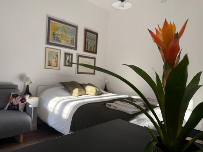 Appartamento La Palma al Vaticano