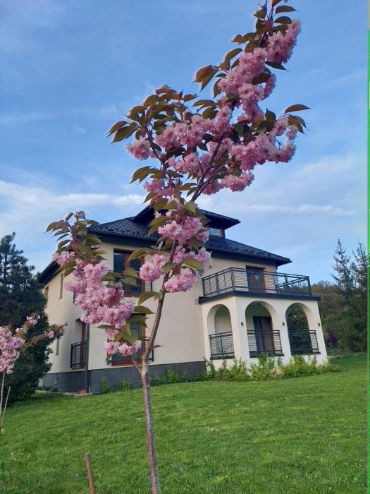 Apartamenty Brenna Klimorówka