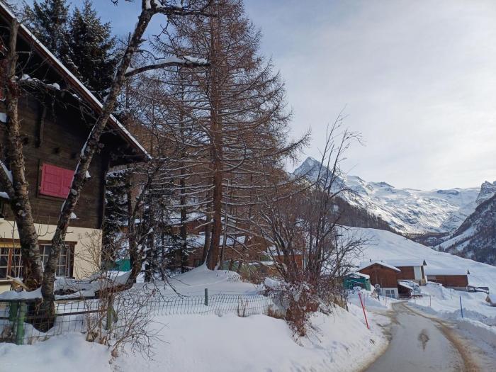 Chalet Alpin vue Dent Blanche