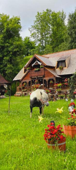 Pensiunea Rustic Oncesti