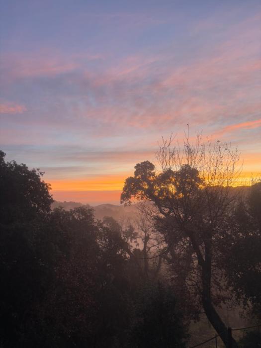 Dîner vue mer avec lEstérel