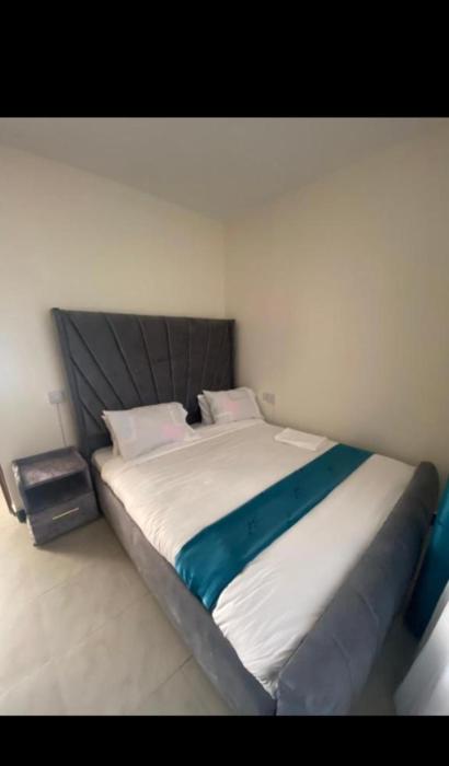 Olive stylish stay 04