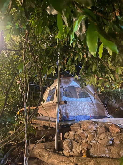 Suối Mơ Dốc Tình Glamping & Retreat