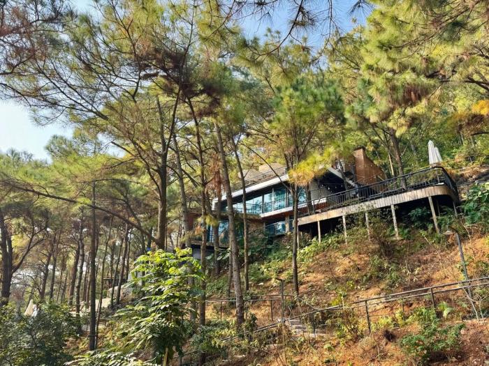 DEBAY VILLA - Stone house in the forest