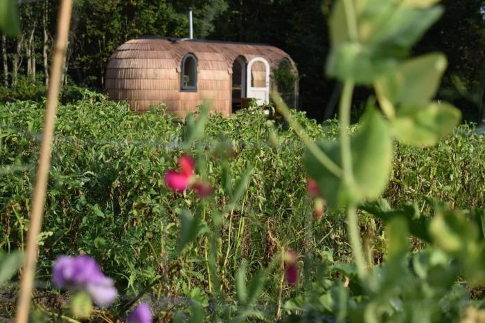 Igloo cabin in Saaremaa
