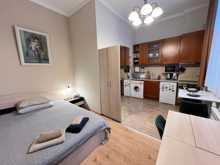 Budapest Central Cozy Studio w Working Space and WiFi
