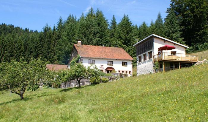 Blanche-Roche, gîte en lisière de fôret