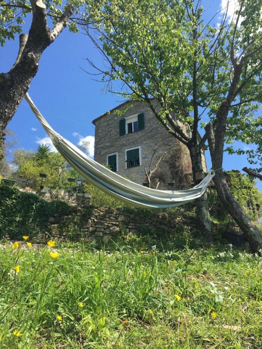 Rustico tra gli Ulivi