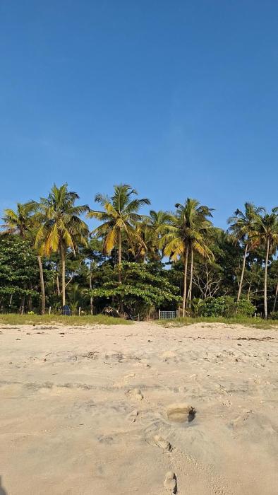 Marari Beach Bamboo Rooms AcroYogaThai