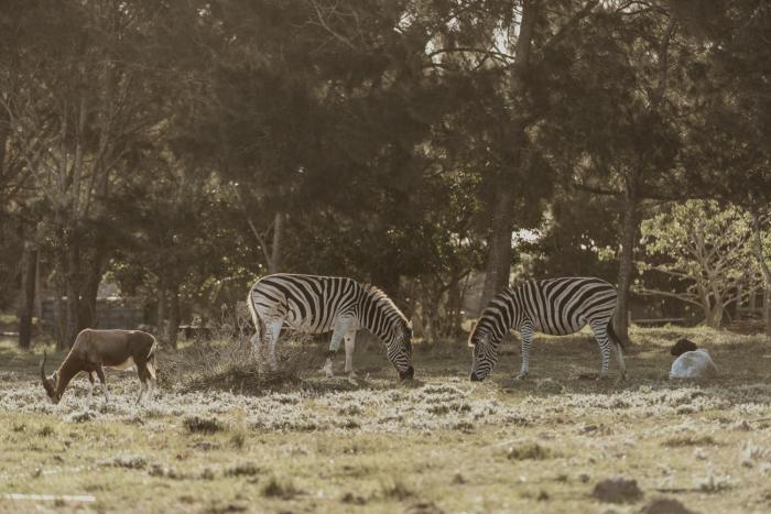 Wild Paradise Farmstay