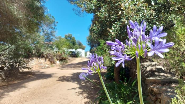 Casa Catalina, vista mozzafiato a due passi mare, natura e relax in Costa