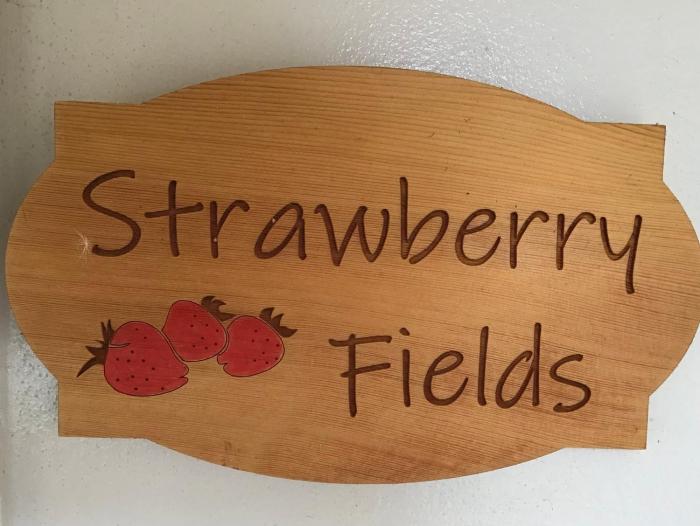Strawberry fields