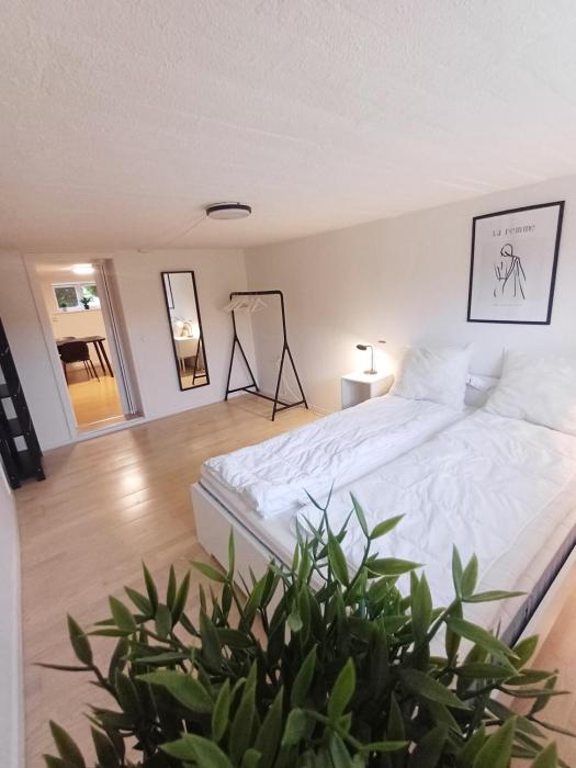 Central Apartment In Aalborg Close To Hospital