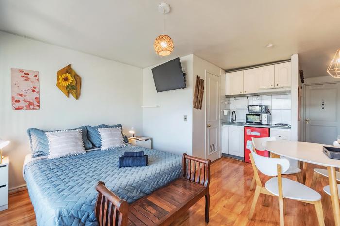 Providencia Studio by Mr BnB