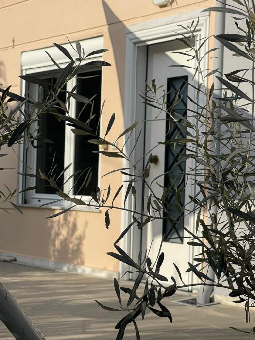 Asana by Agora Flats