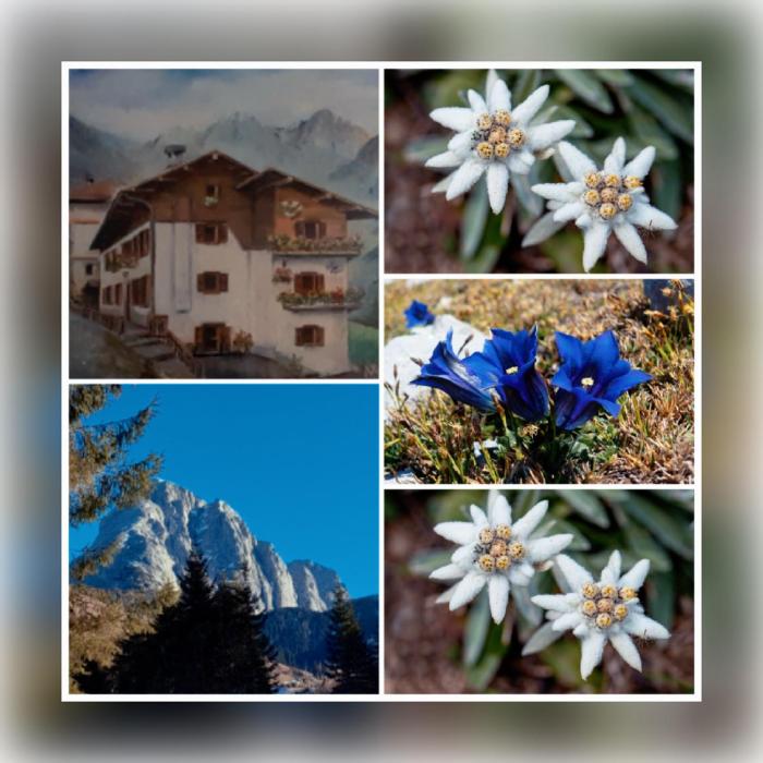 DOLOMITI Ferienwohnung, Appartamento vacanze.