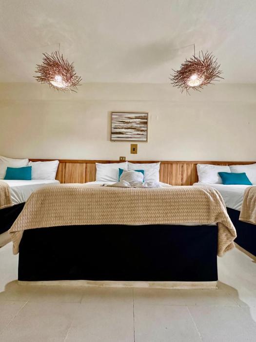 Hotel cacao spa cozumel