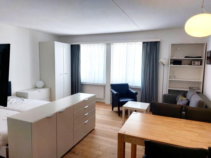 Ski IN&OUT Studio 50m to Gondel&Slopes incl parking