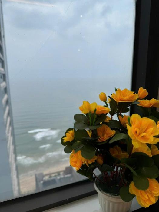 Muong Thanh Beach partment, Da Nang