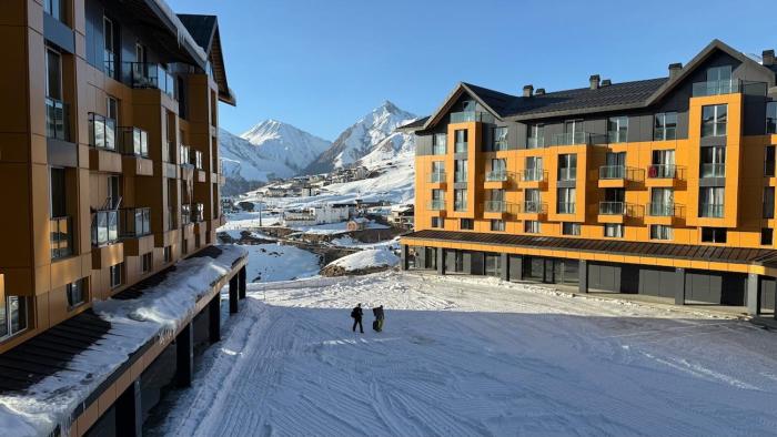 GOODauri Cosy Appartment